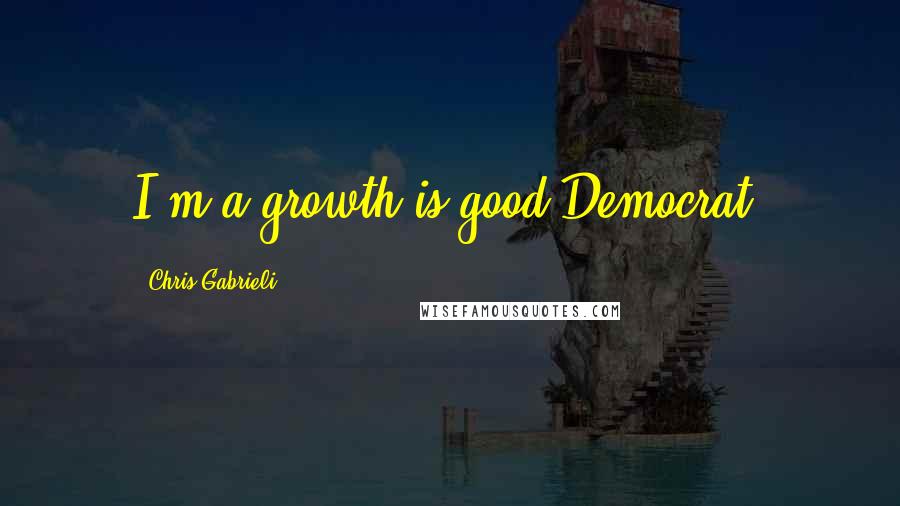 Chris Gabrieli Quotes: I'm a growth-is-good Democrat.