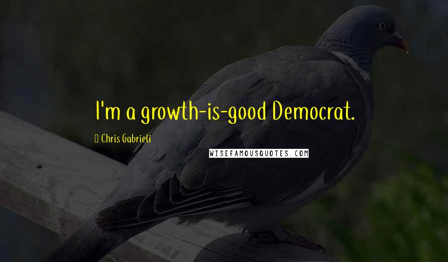 Chris Gabrieli Quotes: I'm a growth-is-good Democrat.