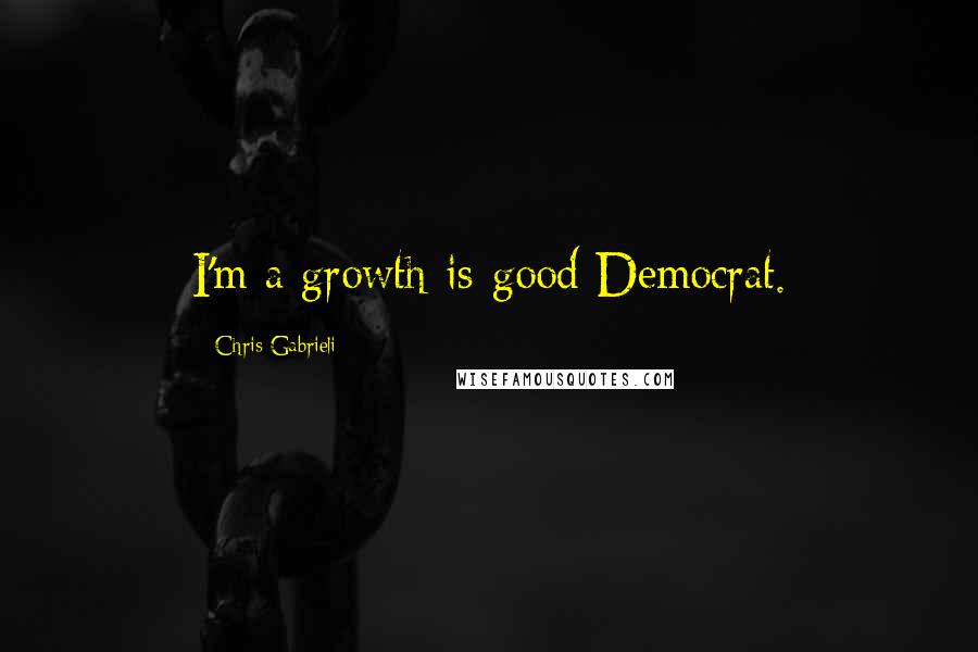 Chris Gabrieli Quotes: I'm a growth-is-good Democrat.