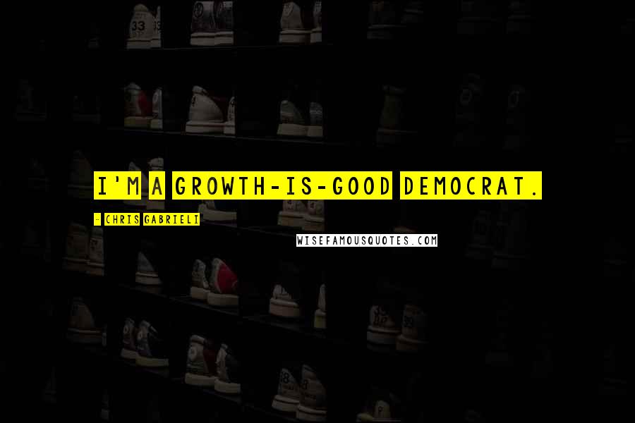 Chris Gabrieli Quotes: I'm a growth-is-good Democrat.