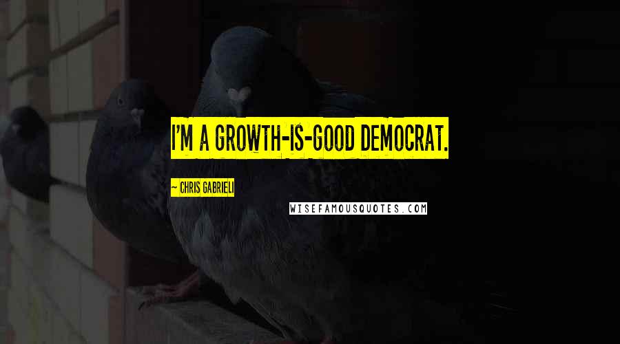 Chris Gabrieli Quotes: I'm a growth-is-good Democrat.