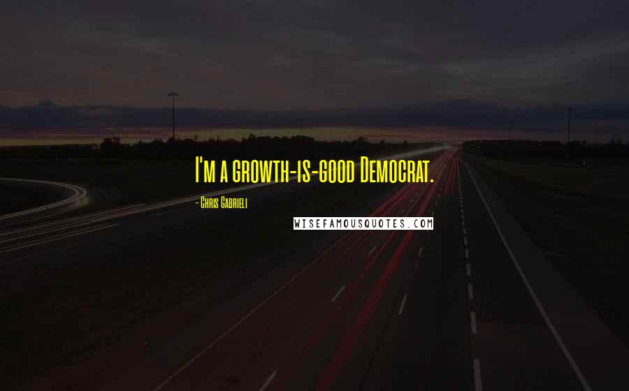 Chris Gabrieli Quotes: I'm a growth-is-good Democrat.