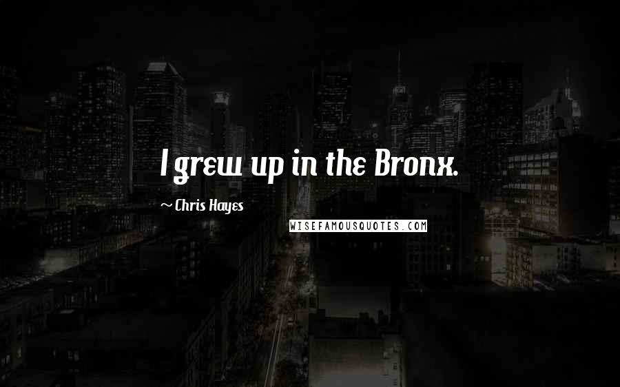 Chris Hayes Quotes: I grew up in the Bronx.