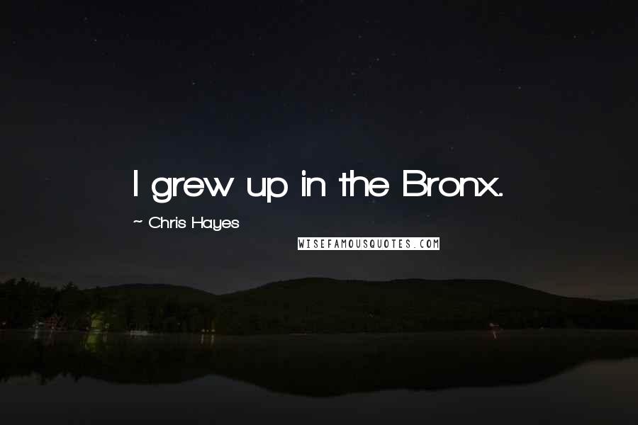 Chris Hayes Quotes: I grew up in the Bronx.