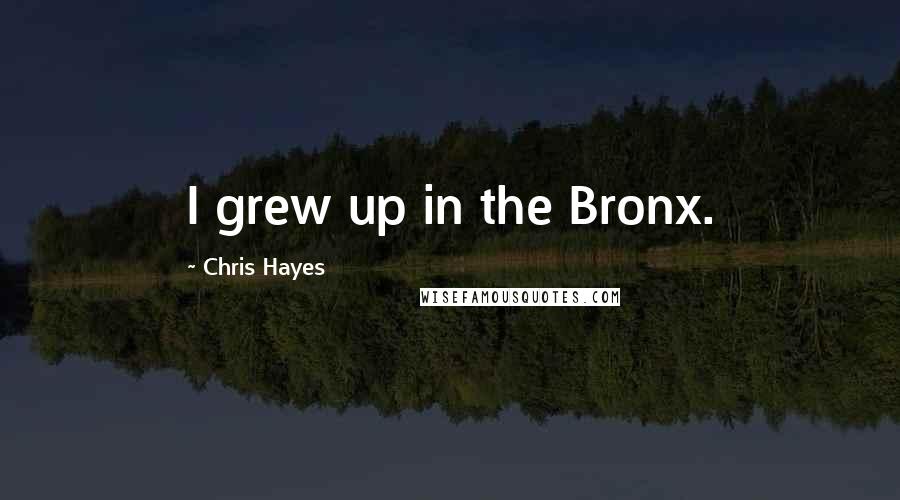 Chris Hayes Quotes: I grew up in the Bronx.