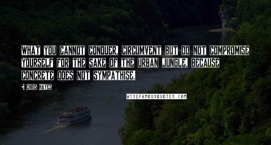 Chris Hayes Quotes: What you cannot conquer, circumvent but do not compromise yourself for the sake of the urban jungle, because concrete does not sympathise.
