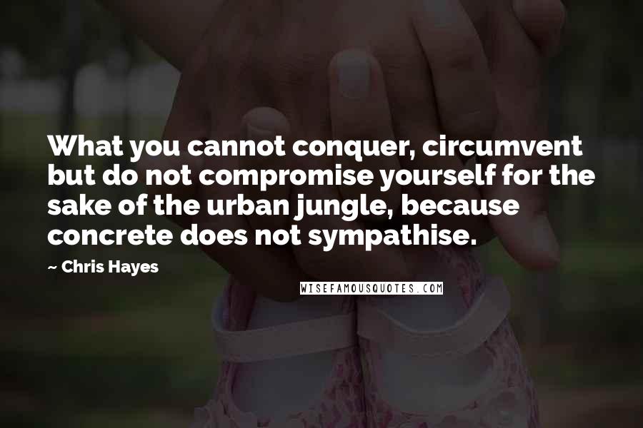 Chris Hayes Quotes: What you cannot conquer, circumvent but do not compromise yourself for the sake of the urban jungle, because concrete does not sympathise.