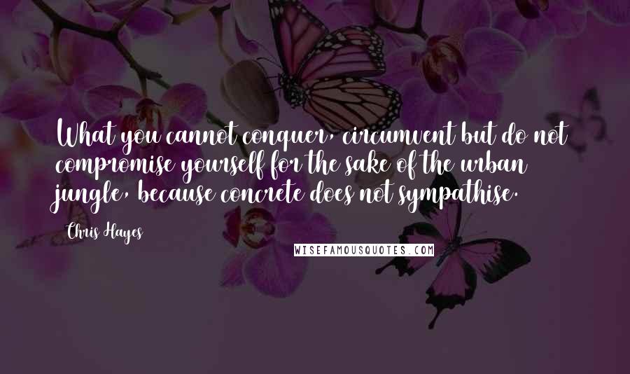 Chris Hayes Quotes: What you cannot conquer, circumvent but do not compromise yourself for the sake of the urban jungle, because concrete does not sympathise.