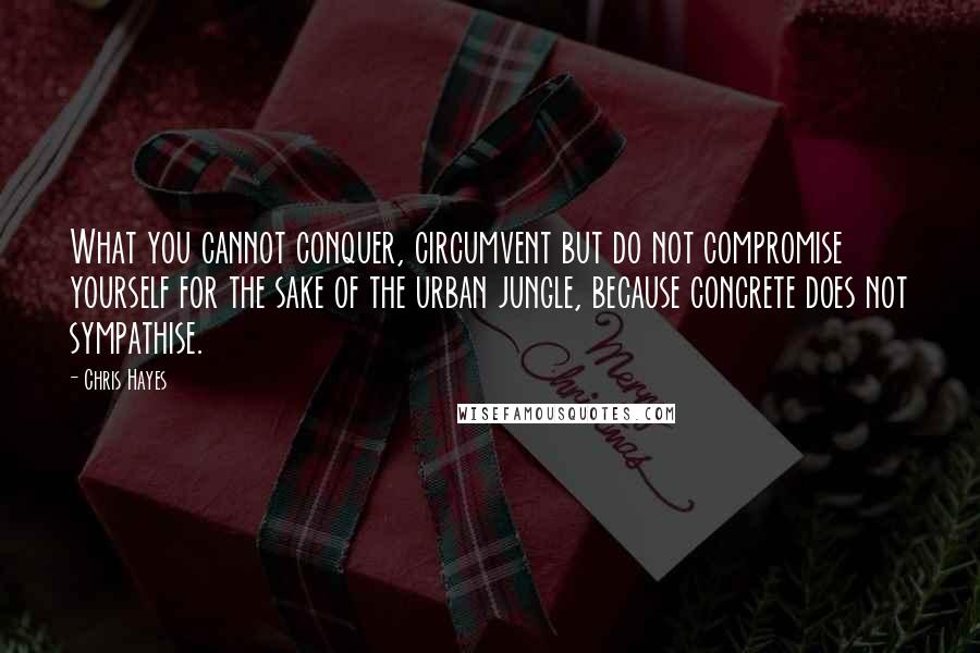 Chris Hayes Quotes: What you cannot conquer, circumvent but do not compromise yourself for the sake of the urban jungle, because concrete does not sympathise.