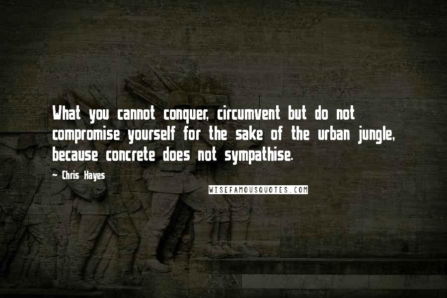 Chris Hayes Quotes: What you cannot conquer, circumvent but do not compromise yourself for the sake of the urban jungle, because concrete does not sympathise.