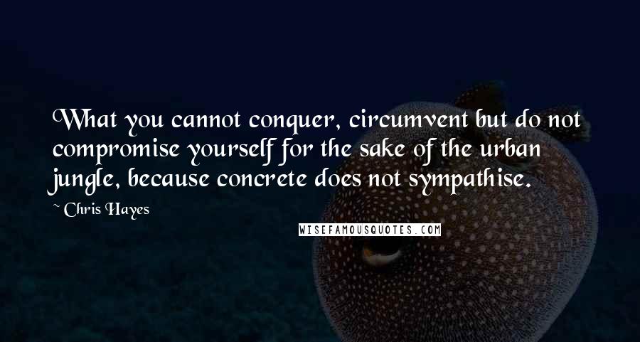 Chris Hayes Quotes: What you cannot conquer, circumvent but do not compromise yourself for the sake of the urban jungle, because concrete does not sympathise.