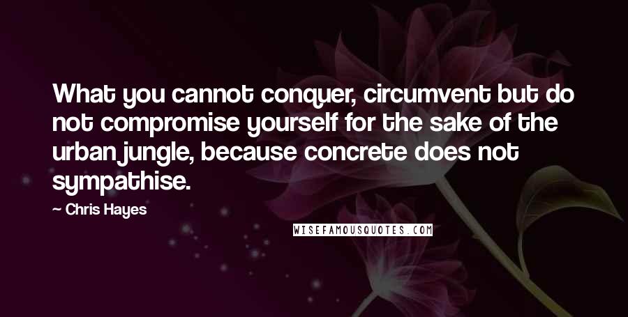 Chris Hayes Quotes: What you cannot conquer, circumvent but do not compromise yourself for the sake of the urban jungle, because concrete does not sympathise.