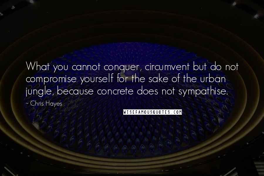 Chris Hayes Quotes: What you cannot conquer, circumvent but do not compromise yourself for the sake of the urban jungle, because concrete does not sympathise.