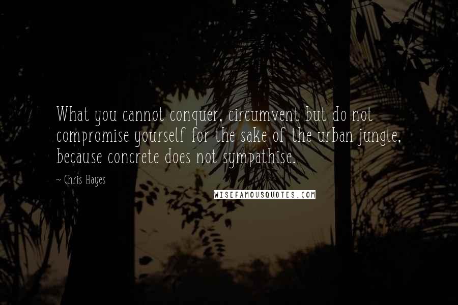 Chris Hayes Quotes: What you cannot conquer, circumvent but do not compromise yourself for the sake of the urban jungle, because concrete does not sympathise.