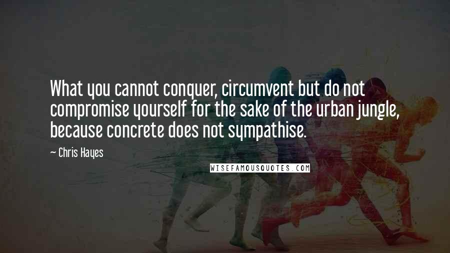 Chris Hayes Quotes: What you cannot conquer, circumvent but do not compromise yourself for the sake of the urban jungle, because concrete does not sympathise.