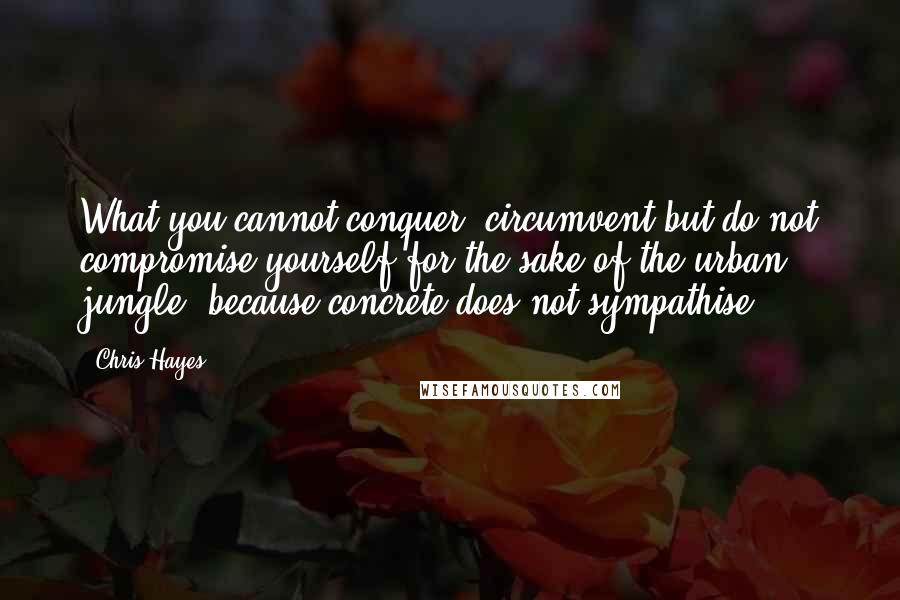 Chris Hayes Quotes: What you cannot conquer, circumvent but do not compromise yourself for the sake of the urban jungle, because concrete does not sympathise.