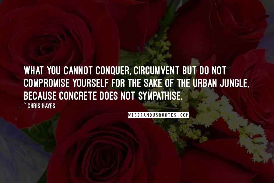 Chris Hayes Quotes: What you cannot conquer, circumvent but do not compromise yourself for the sake of the urban jungle, because concrete does not sympathise.