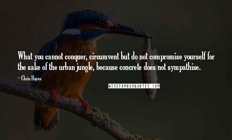 Chris Hayes Quotes: What you cannot conquer, circumvent but do not compromise yourself for the sake of the urban jungle, because concrete does not sympathise.