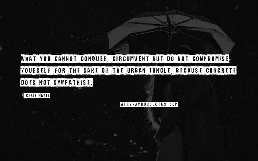 Chris Hayes Quotes: What you cannot conquer, circumvent but do not compromise yourself for the sake of the urban jungle, because concrete does not sympathise.