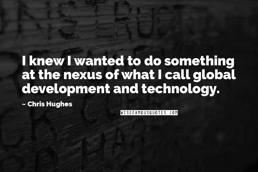 Chris Hughes Quotes: I knew I wanted to do something at the nexus of what I call global development and technology.