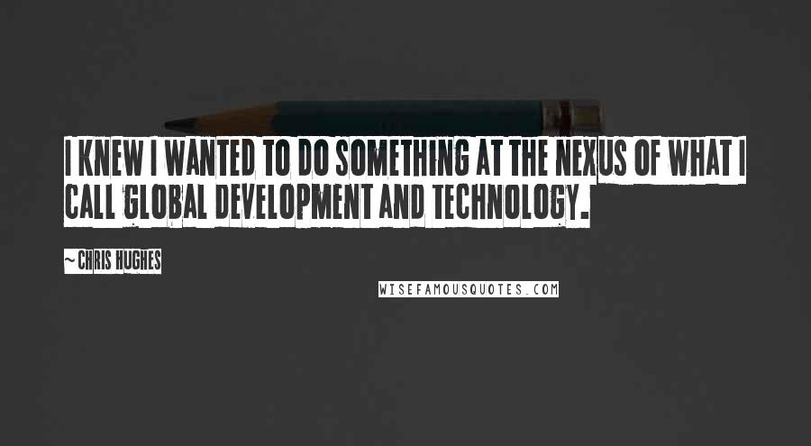 Chris Hughes Quotes: I knew I wanted to do something at the nexus of what I call global development and technology.