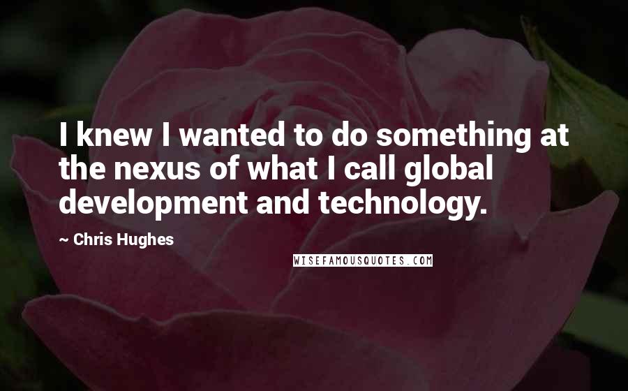 Chris Hughes Quotes: I knew I wanted to do something at the nexus of what I call global development and technology.