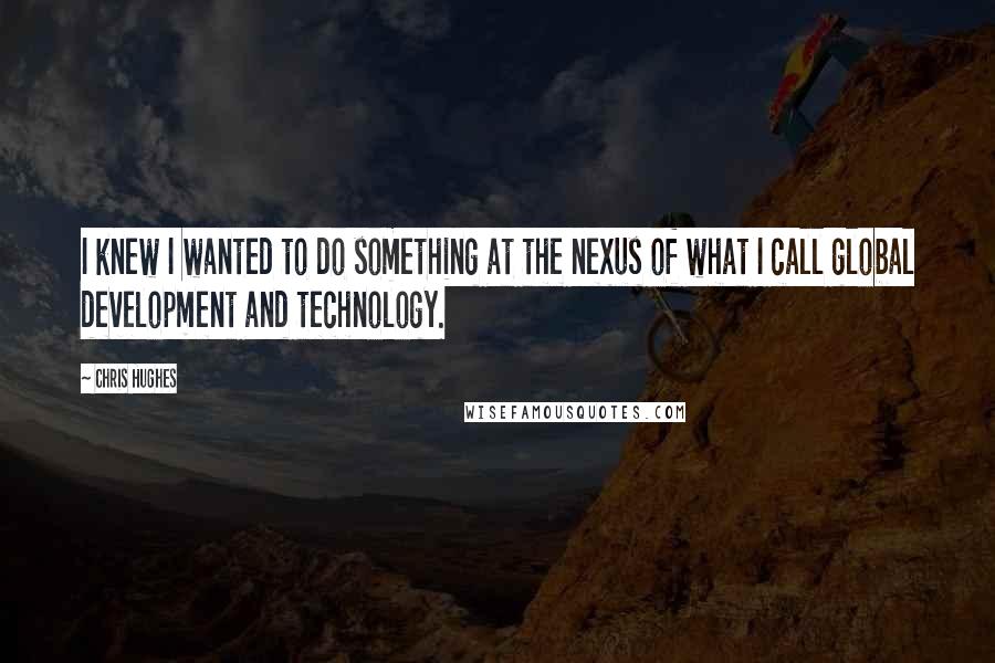 Chris Hughes Quotes: I knew I wanted to do something at the nexus of what I call global development and technology.