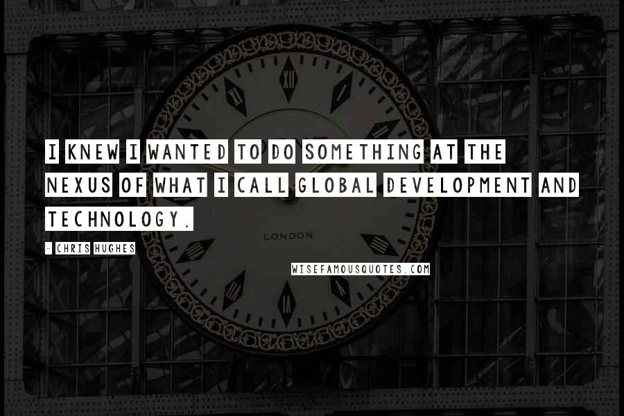 Chris Hughes Quotes: I knew I wanted to do something at the nexus of what I call global development and technology.