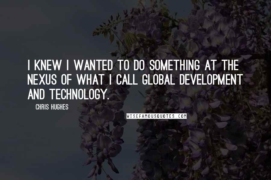 Chris Hughes Quotes: I knew I wanted to do something at the nexus of what I call global development and technology.