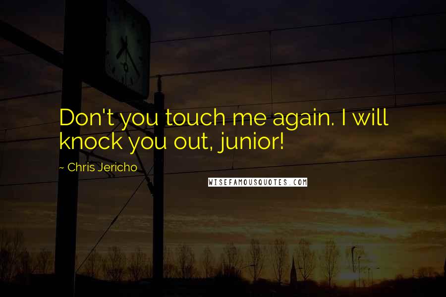 Chris Jericho Quotes: Don't you touch me again. I will knock you out, junior!