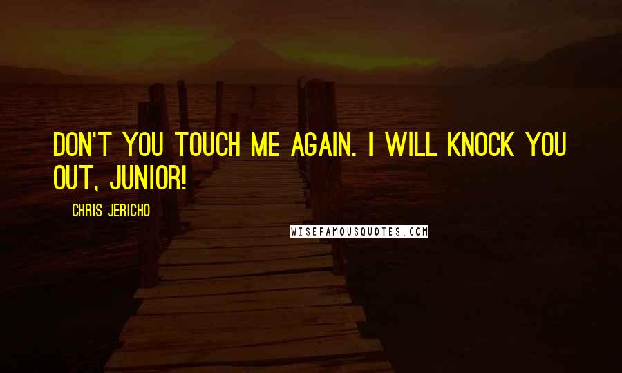 Chris Jericho Quotes: Don't you touch me again. I will knock you out, junior!