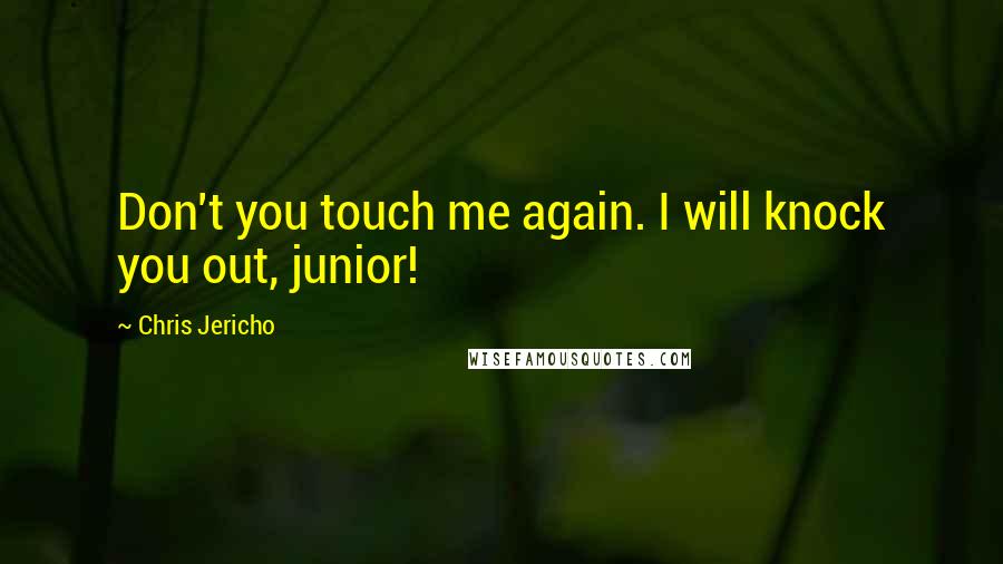 Chris Jericho Quotes: Don't you touch me again. I will knock you out, junior!