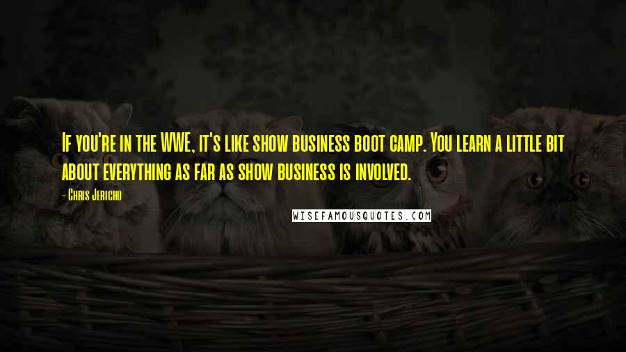 Chris Jericho Quotes: If you're in the WWE, it's like show business boot camp. You learn a little bit about everything as far as show business is involved.
