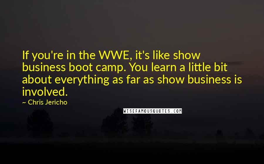 Chris Jericho Quotes: If you're in the WWE, it's like show business boot camp. You learn a little bit about everything as far as show business is involved.