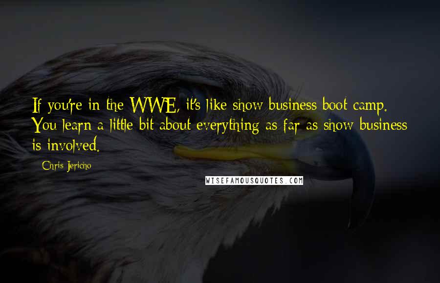 Chris Jericho Quotes: If you're in the WWE, it's like show business boot camp. You learn a little bit about everything as far as show business is involved.