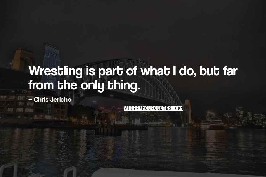 Chris Jericho Quotes: Wrestling is part of what I do, but far from the only thing.