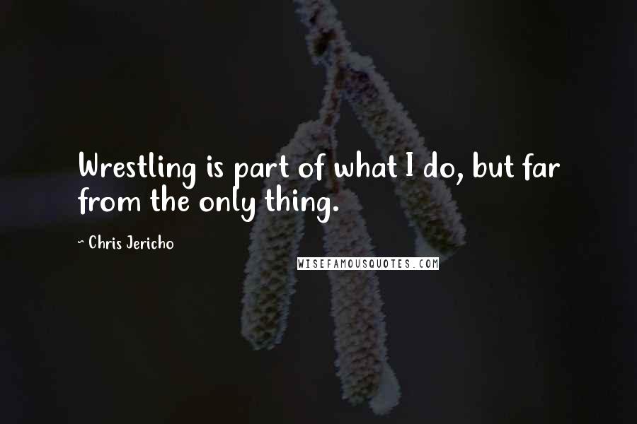 Chris Jericho Quotes: Wrestling is part of what I do, but far from the only thing.