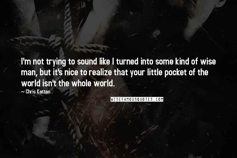 Chris Kattan Quotes: I'm not trying to sound like I turned into some kind of wise man, but it's nice to realize that your little pocket of the world isn't the whole world.