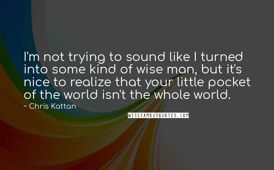 Chris Kattan Quotes: I'm not trying to sound like I turned into some kind of wise man, but it's nice to realize that your little pocket of the world isn't the whole world.