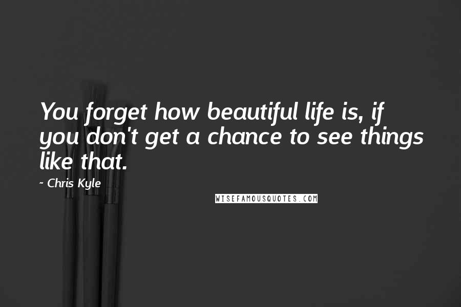 Chris Kyle Quotes: You forget how beautiful life is, if you don't get a chance to see things like that.