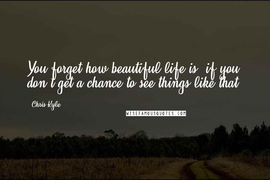 Chris Kyle Quotes: You forget how beautiful life is, if you don't get a chance to see things like that.