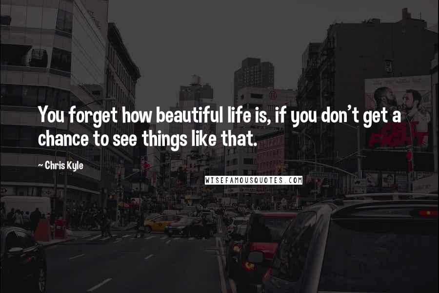 Chris Kyle Quotes: You forget how beautiful life is, if you don't get a chance to see things like that.