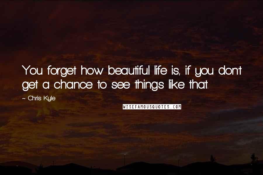 Chris Kyle Quotes: You forget how beautiful life is, if you don't get a chance to see things like that.