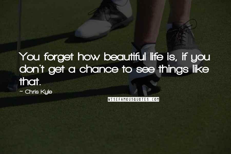 Chris Kyle Quotes: You forget how beautiful life is, if you don't get a chance to see things like that.