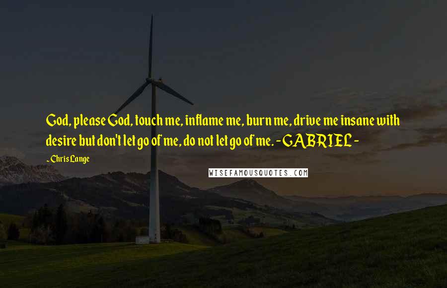 Chris Lange Quotes: God, please God, touch me, inflame me, burn me, drive me insane with desire but don't let go of me, do not let go of me. - GABRIEL -