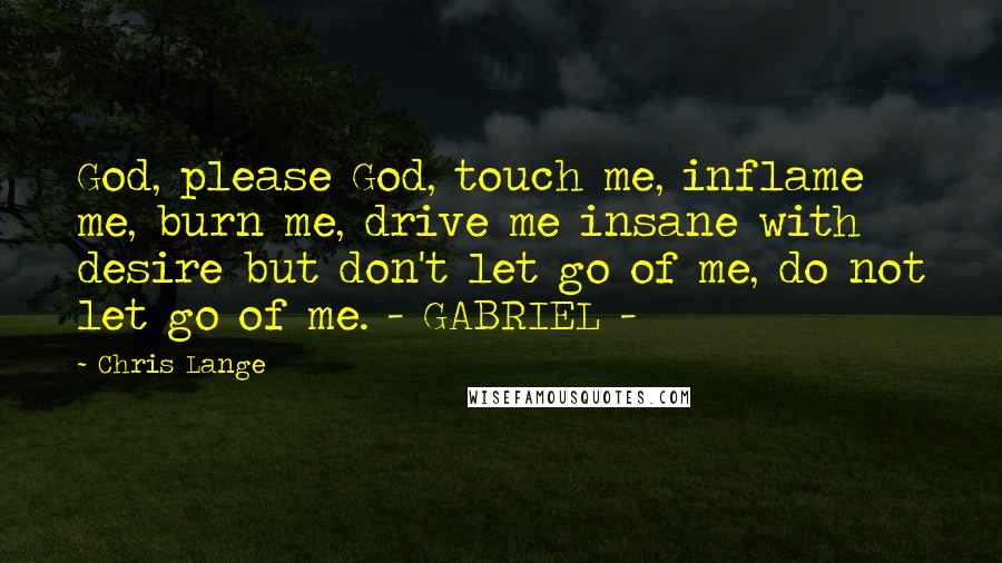 Chris Lange Quotes: God, please God, touch me, inflame me, burn me, drive me insane with desire but don't let go of me, do not let go of me. - GABRIEL -