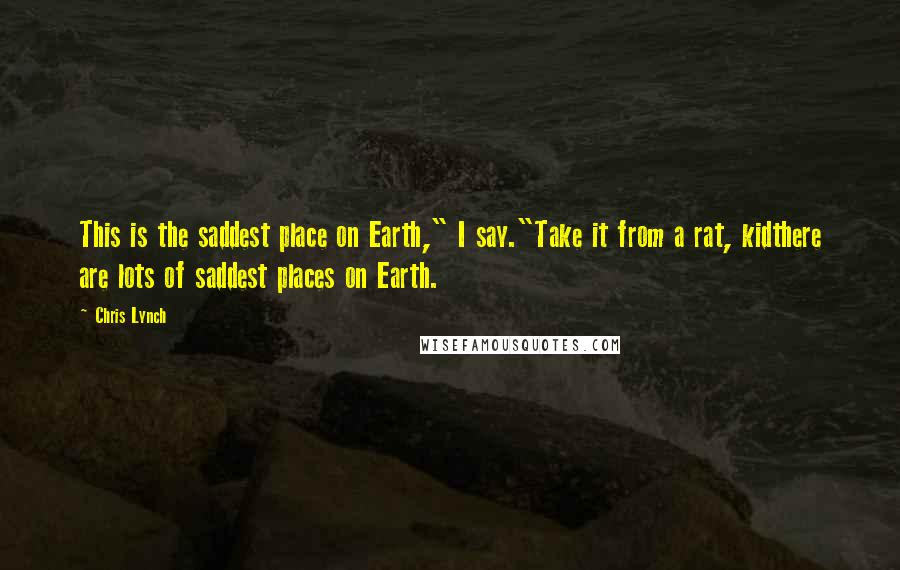 Chris Lynch Quotes: This is the saddest place on Earth," I say."Take it from a rat, kidthere are lots of saddest places on Earth.