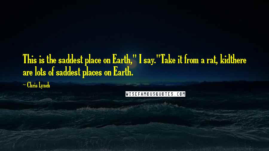 Chris Lynch Quotes: This is the saddest place on Earth," I say."Take it from a rat, kidthere are lots of saddest places on Earth.