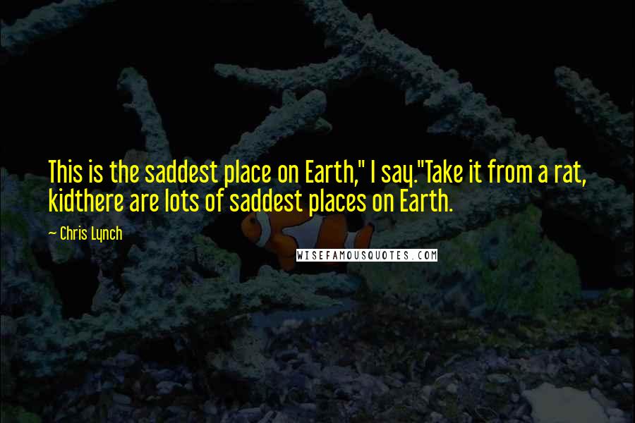 Chris Lynch Quotes: This is the saddest place on Earth," I say."Take it from a rat, kidthere are lots of saddest places on Earth.