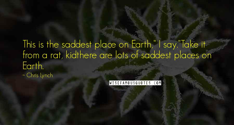 Chris Lynch Quotes: This is the saddest place on Earth," I say."Take it from a rat, kidthere are lots of saddest places on Earth.
